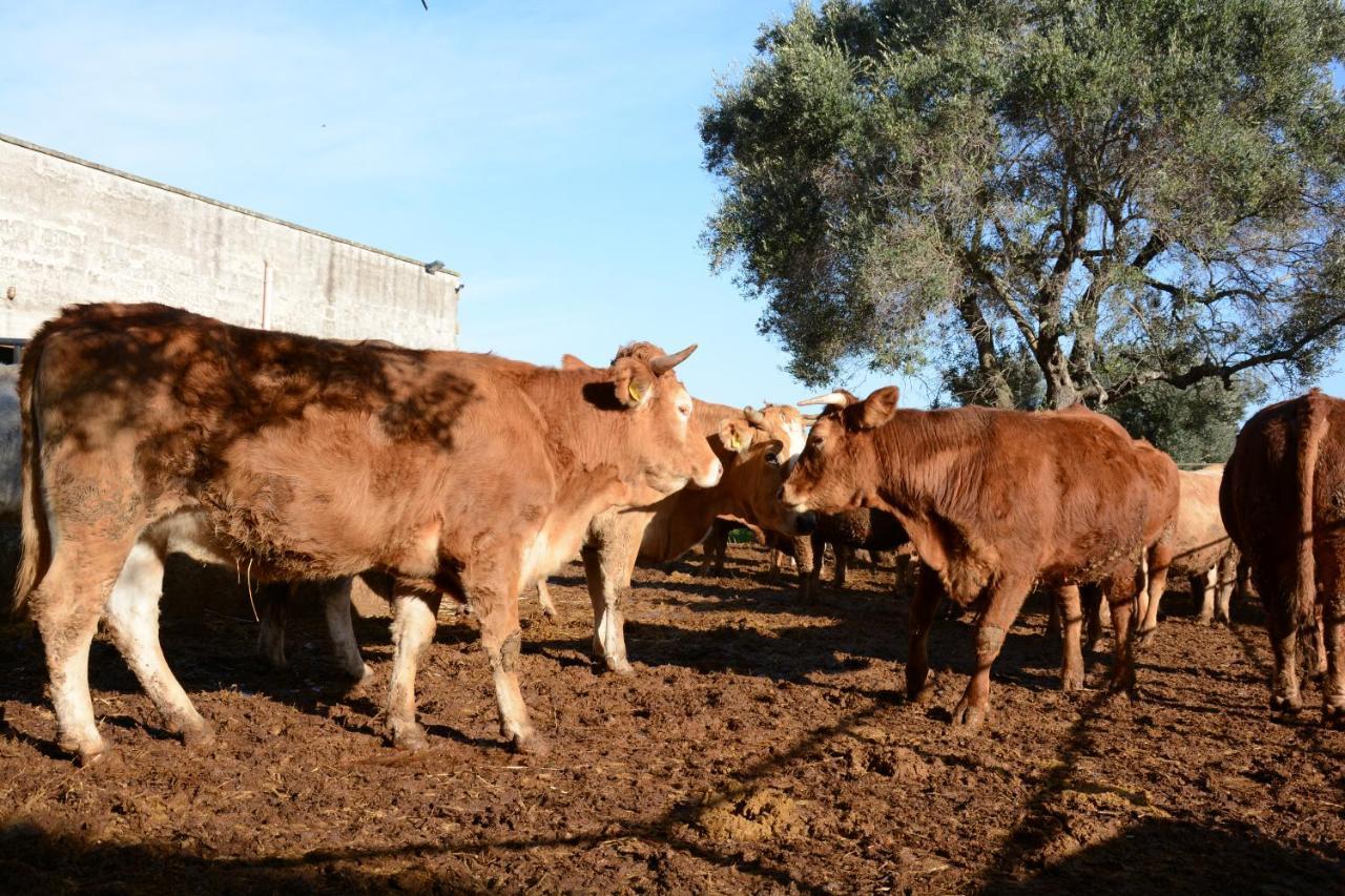 Masseria Rifisa Agriresort Caprarica di Lecce エクステリア 写真